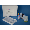 48t/96t 小鼠α2抗纤溶酶(α2-AP)ELISA Kit