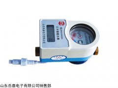 DDSH1599 山东岳嘉水表