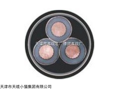 YJV高压铠装电力电缆促销
