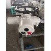 IS30M-18L-1H 閥門電動裝置