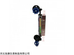 B49H帶燈式石英管雙色水位計