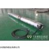 300QH 不锈钢潜水电泵