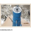 116QYDB 抽油用油泵