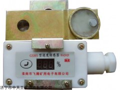 GSH5 本質安全型速度傳感器