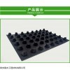 psb 西安 虹吸系统 体育场 虹吸排水板