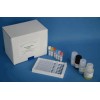 D3096-00 MicroElute Genomic DNA Kit