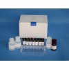 D1196-00 Tissue DNA Kit组织DNA提取试剂盒