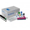 M6223-01 Mag-Bind Tissue DNA Kit