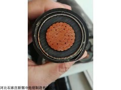 YJV22-10       3*120 內(nèi)蒙古新撒冷電纜制造有限公司