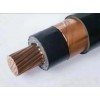 YJV22-10KV     3*35 內(nèi)蒙古新撒冷電纜制造有限公司
