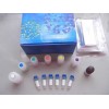 TQ2104-01 PCR AmplificationKit扩增试剂盒