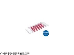81506 81501 81531 ibidi  µ-Slide 血管生成载玻片