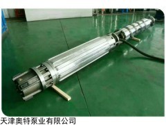 300QH潛海水電泵