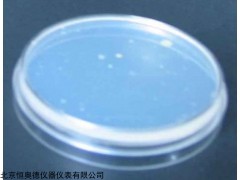 H23476  接触性平皿