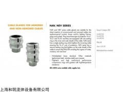 Zone 1-2-21-22 意大利Cortem Group防爆接頭