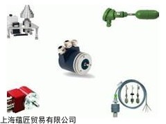 IVO计数器NE131.013.AX01