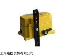 RAMSEY称重料位仪11-100-RC