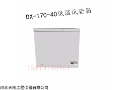 DX-170-40 低溫試驗箱  河北天檢