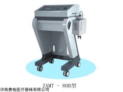 ZAMT-80 医用臭氧治疗仪