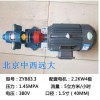 型号:BB977-ZYB83.3 小型抽渣合金钢齿轮油泵