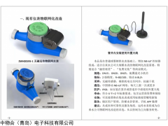 1 ZWH2019S-1无磁远传物联网水表
