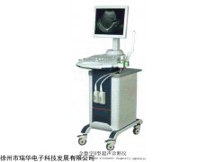 RH-3000 全數(shù)字B超診斷儀黑白B超機