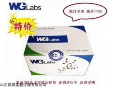 美国WGLabs固相萃取柱