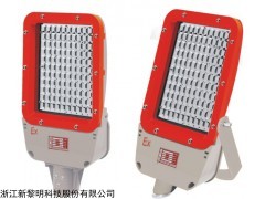 BZD188-34 BZD188-03系列防爆免维护LED泛光灯