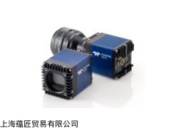 TELEDYNE电池B71875