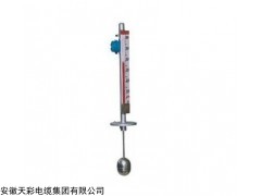 安徽天彩供应UHZ-50/D型顶装式磁性浮球液位计