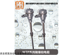 WZP 西安君昊天誠-系列隔爆鉑電阻