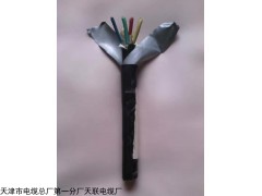 PTYL23铁路信号电缆4*1.0 33*1.0