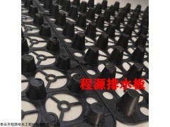 0.8cm-5.0cm 佛山绿化车库透水板/20高卷材排水板