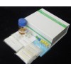 大鼠CD14分子(CD14)ELISA试剂盒