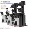 奥林巴斯IX53倒置显微镜