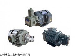 DSI5P-20 日本VANE PUMP油泵