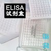 人血小板活化因子沈阳(Human)ELISA