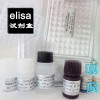 大鼠白介素27(Rat)ELISA