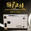20kw柴油发电机大泽动力