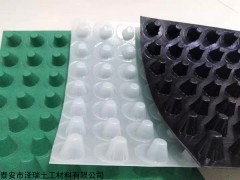 0.8-6.0cm规格齐全 浙江台州车库用塑料凹凸排水板=2公分透水板价格