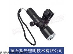 YJ1010固态微型强光防爆电筒