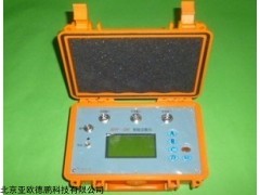 DP28281 振弦式频率读数仪