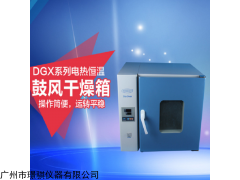 國華DGX-100電熱恒溫鼓風(fēng)干燥箱