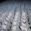 秀城区中央空调循环水防冻液信赖厂家
