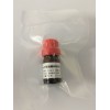 抗肾小球基底膜抗体(GBM)ELISA试剂盒