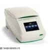 T100 Bio-Rad伯乐 T100