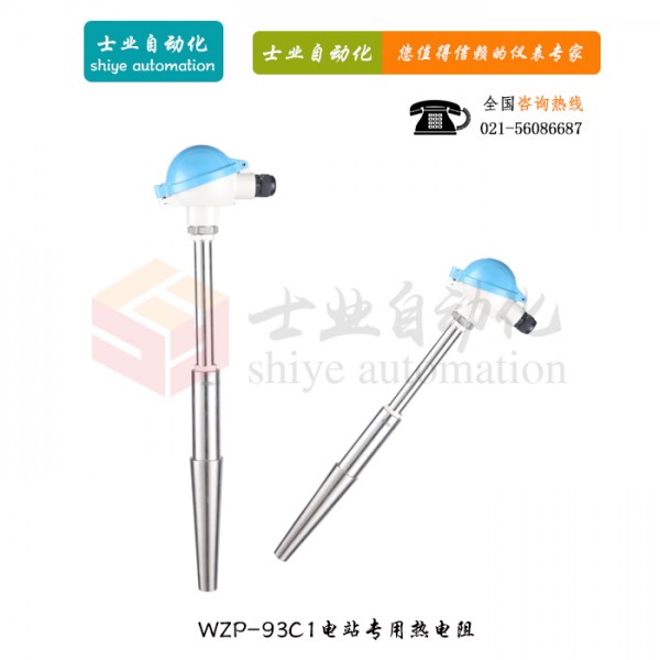 WZP-93C1 電站測(cè)溫用熱電阻