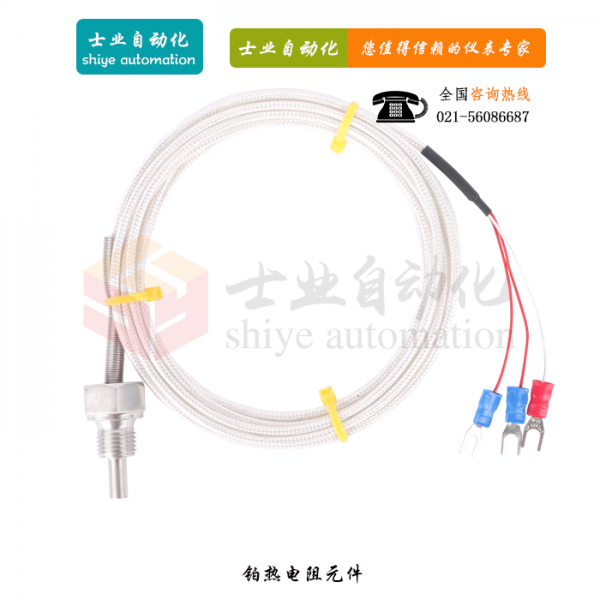 WZP-206S 鉑熱電阻元件