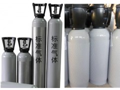 HH-H2S-8L 食品级二氧化碳中的硫化物标气