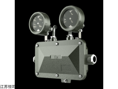 ZBFC8190 LED 防爆应急灯